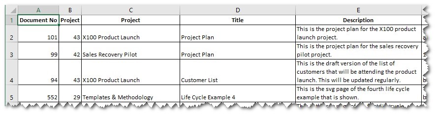 Document_Detail_Report.jpg