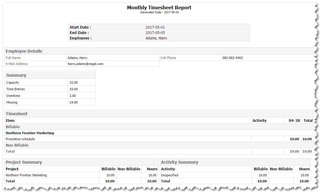 Monthly_Timesheet_Report.jpg